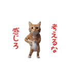 踊る！おパンツ猫（個別スタンプ：14）