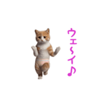 踊る！おパンツ猫（個別スタンプ：16）