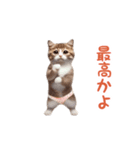 踊る！おパンツ猫（個別スタンプ：17）