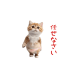 踊る！おパンツ猫（個別スタンプ：19）