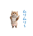 踊る！おパンツ猫（個別スタンプ：21）