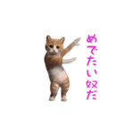 踊る！おパンツ猫（個別スタンプ：22）