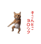 踊る！おパンツ猫（個別スタンプ：23）