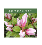 謙虚な躑躅（個別スタンプ：2）