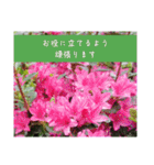 謙虚な躑躅（個別スタンプ：9）