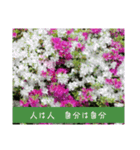 謙虚な躑躅（個別スタンプ：10）