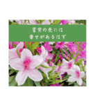 謙虚な躑躅（個別スタンプ：11）