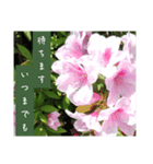 謙虚な躑躅（個別スタンプ：18）