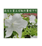 謙虚な躑躅（個別スタンプ：19）