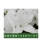 謙虚な躑躅（個別スタンプ：23）