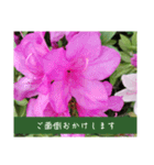 謙虚な躑躅（個別スタンプ：25）
