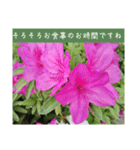 謙虚な躑躅（個別スタンプ：30）
