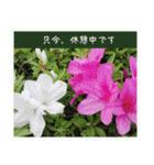 謙虚な躑躅（個別スタンプ：34）
