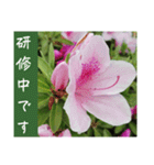 謙虚な躑躅（個別スタンプ：36）