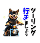 ツーリング♡バイク好き 黒柴 (春夏)（個別スタンプ：2）