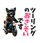 ツーリング♡バイク好き 黒柴 (春夏)（個別スタンプ：3）