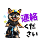 ツーリング♡バイク好き 黒柴 (春夏)（個別スタンプ：4）
