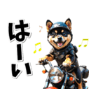 ツーリング♡バイク好き 黒柴 (春夏)（個別スタンプ：6）