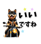 ツーリング♡バイク好き 黒柴 (春夏)（個別スタンプ：8）