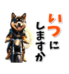 ツーリング♡バイク好き 黒柴 (春夏)（個別スタンプ：9）