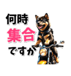 ツーリング♡バイク好き 黒柴 (春夏)（個別スタンプ：10）