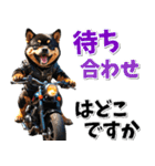 ツーリング♡バイク好き 黒柴 (春夏)（個別スタンプ：12）