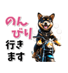 ツーリング♡バイク好き 黒柴 (春夏)（個別スタンプ：13）