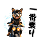 ツーリング♡バイク好き 黒柴 (春夏)（個別スタンプ：16）