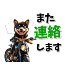 ツーリング♡バイク好き 黒柴 (春夏)（個別スタンプ：19）