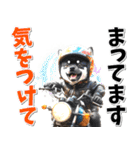 ツーリング♡バイク好き 黒柴 (春夏)（個別スタンプ：20）