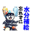 ツーリング♡バイク好き 黒柴 (春夏)（個別スタンプ：23）