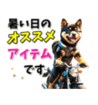 ツーリング♡バイク好き 黒柴 (春夏)（個別スタンプ：24）