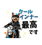 ツーリング♡バイク好き 黒柴 (春夏)（個別スタンプ：25）