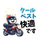 ツーリング♡バイク好き 黒柴 (春夏)（個別スタンプ：26）