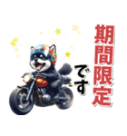 ツーリング♡バイク好き 黒柴 (春夏)（個別スタンプ：29）