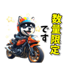 ツーリング♡バイク好き 黒柴 (春夏)（個別スタンプ：30）
