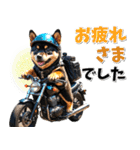 ツーリング♡バイク好き 黒柴 (春夏)（個別スタンプ：32）