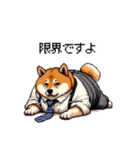 社畜太っちょ柴犬 厳しい社会の敬語多め（個別スタンプ：6）