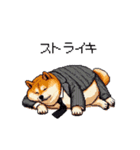 社畜太っちょ柴犬 厳しい社会の敬語多め（個別スタンプ：14）