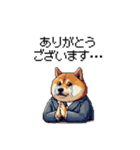 社畜太っちょ柴犬 厳しい社会の敬語多め（個別スタンプ：19）