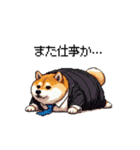社畜太っちょ柴犬 厳しい社会の敬語多め（個別スタンプ：26）