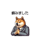 社畜太っちょ柴犬 厳しい社会の敬語多め（個別スタンプ：27）