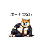 社畜太っちょ柴犬 厳しい社会の敬語多め（個別スタンプ：31）