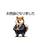 社畜太っちょ柴犬 厳しい社会の敬語多め（個別スタンプ：36）