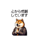 社畜太っちょ柴犬 厳しい社会の敬語多め（個別スタンプ：37）