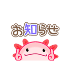 動く【ウーパールーパー】 Byよっさん（個別スタンプ：23）
