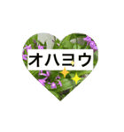 お花たちの街（個別スタンプ：3）