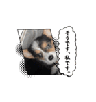 コーギー犬 とらまるくん（個別スタンプ：12）
