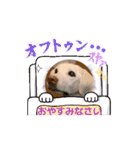 ゆりちゃんのsutanpu（個別スタンプ：9）