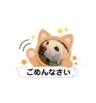 ゆりちゃんのsutanpu（個別スタンプ：12）